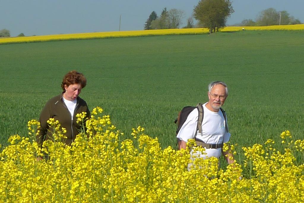 La Petite Varenne Turny Zewnętrze zdjęcie